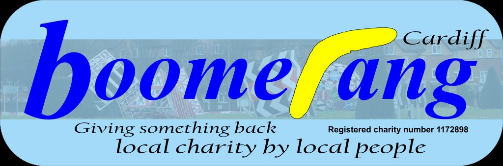 cropped-Boomerang-Logo-PNG